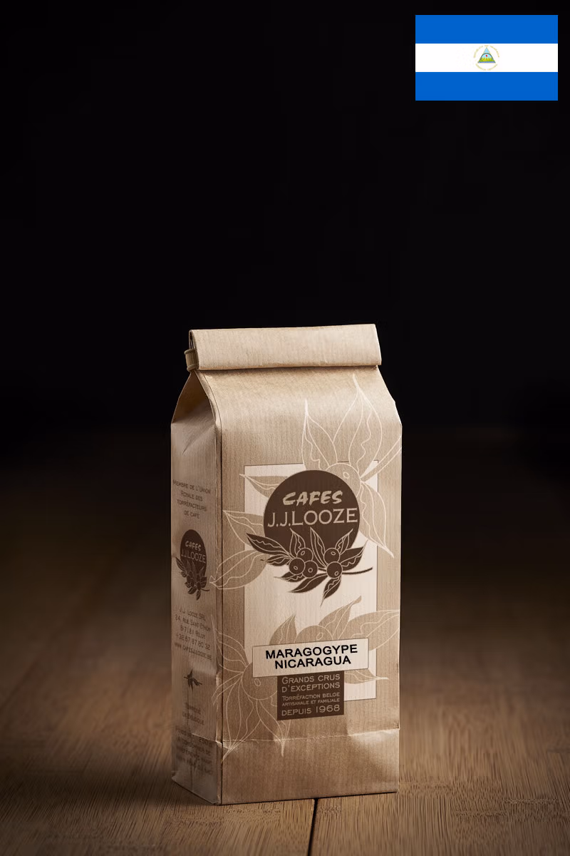 cafe looze maragogype nicaragua beneficios las segovias 250g